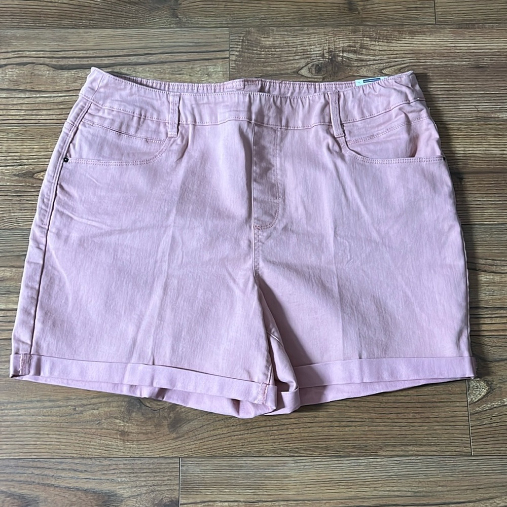Time and Tru Pink Shorts